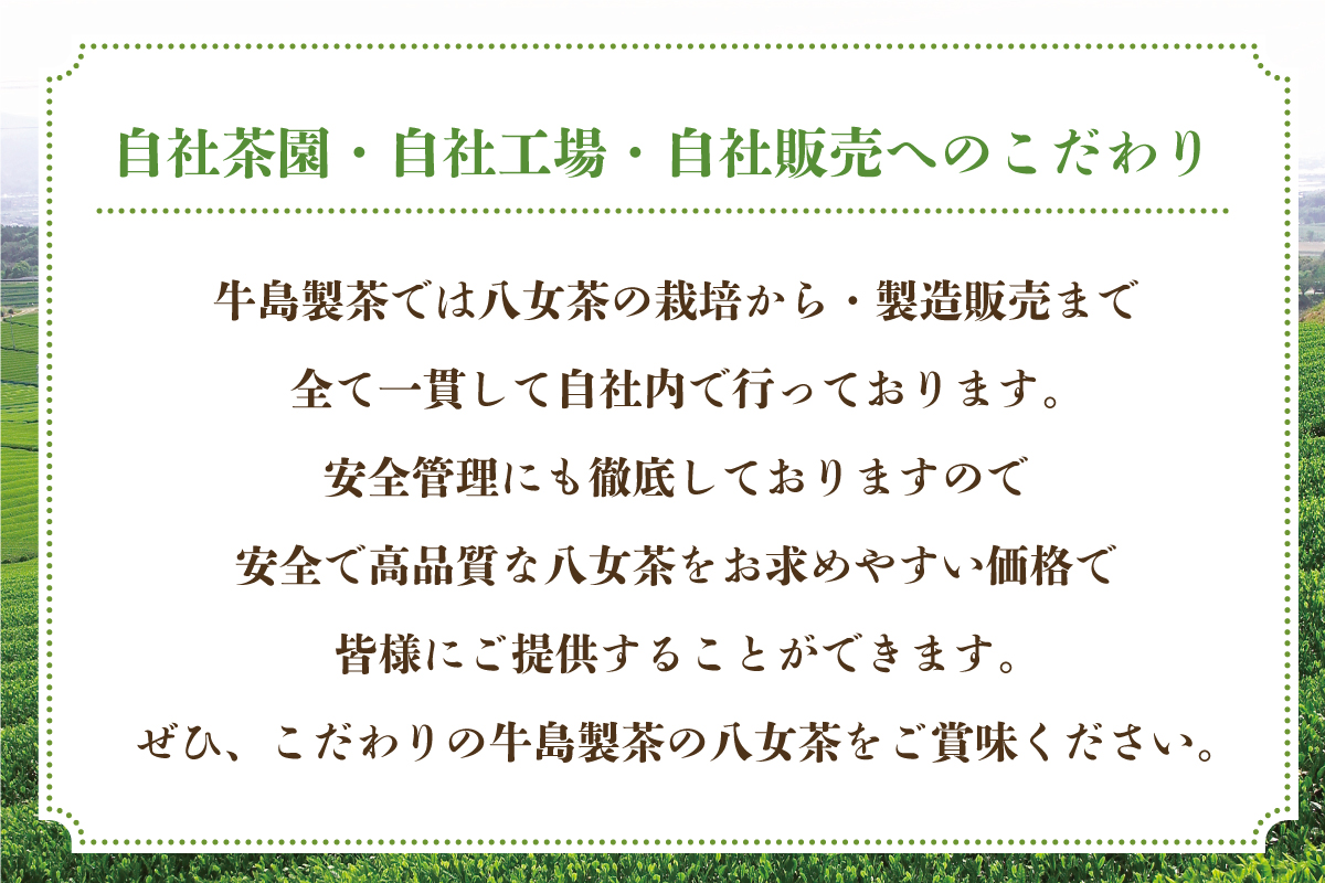 【新茶】【ギフト対応可能】2026年新茶をお届け!! 極上八女深蒸し煎茶セット お茶 緑茶  八女茶 茶葉 国産 新鮮 産地直送 産直 プレゼント ラッピング 包装 贈り物 福岡県 八女市