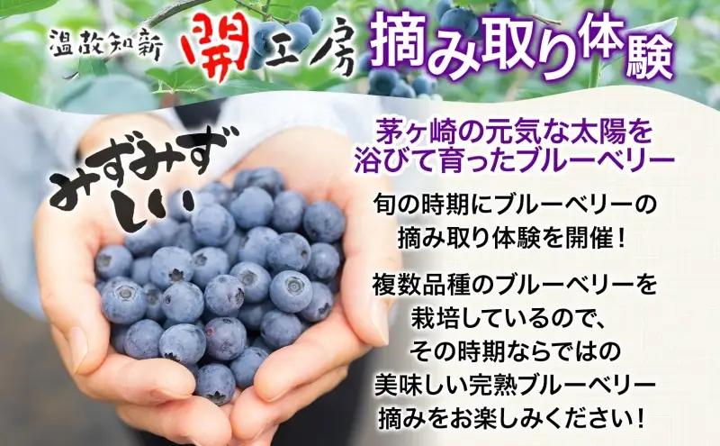 ブルーベリー農園 摘み取り券 収穫 太陽 養液栽培 美味 育つ ジャム バター 地場産  新鮮 卵 スプレッド 濃厚 風味 温故知新 開工房 農園 果実 摘み取り 完熟 農園 あっさり 食パン 採れた