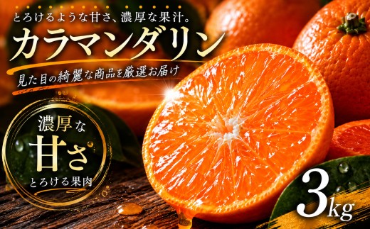 【選び抜いた一箱】 ギュッと濃い甘さ 【カラマンダリン】 3kg 愛媛県産 【2027年4月上旬頃から順次発送】 | みかん 蜜柑 mikan 柑橘 果物 愛媛のみかん くだもの 贈答 フルーツ ご家