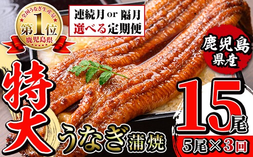 
            i1176 ＜定期便・計3回(連続月or隔月選べる！)＞＼特大サイズ／鹿児島県産 うなぎ蒲焼 5尾セット ＜（約220g×5・計約1100g）×全3回＞ 定期便 たれ 山椒付きうなぎ 鰻 ウナギ 特大 特大サイズ 約220g 蒲焼き 国産 鹿児島県産 焼きたて 生産量日本一 真空パック おかず 晩御飯 特別な日 土用の丑の日 【薩摩川内鰻】
          