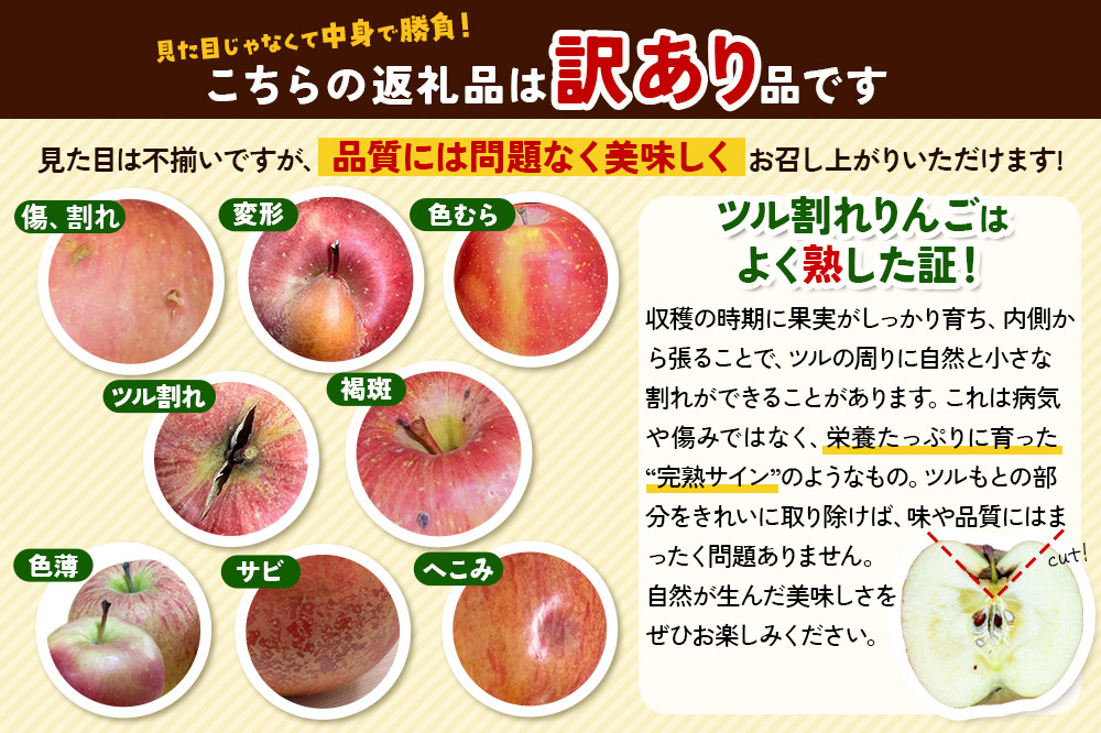りんご 訳あり家庭用【年明け発送】葉取らず サンふじ 約3kg（8～12玉程度）青森県特別栽培農産物認証農園
