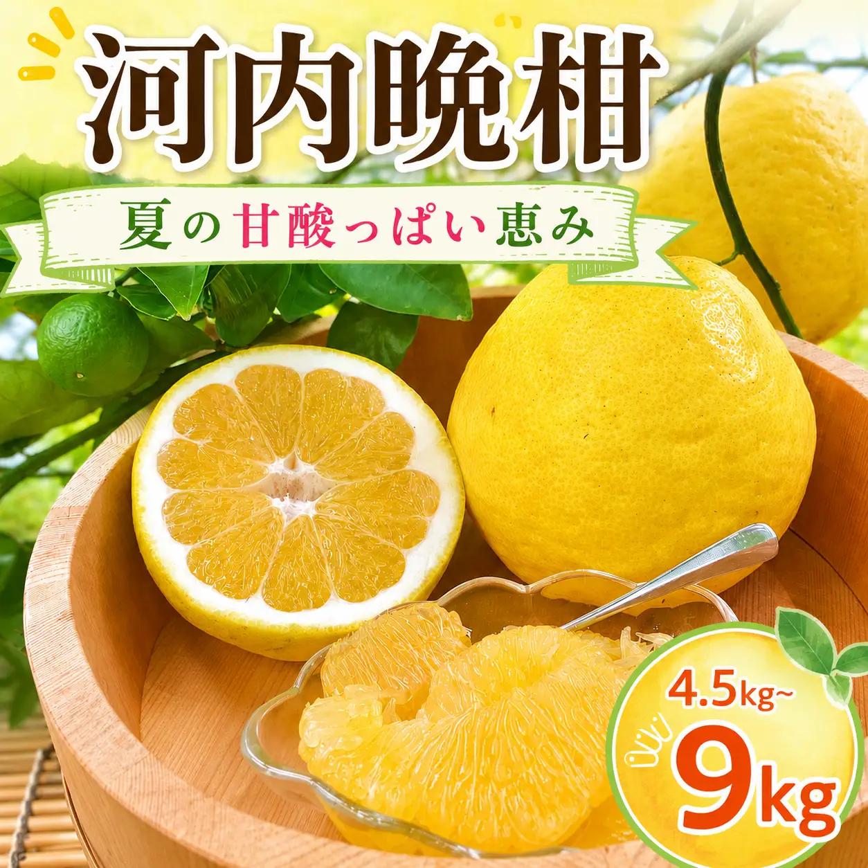 龍馬がゆく園芸の河内晩柑9kg（訳あり）