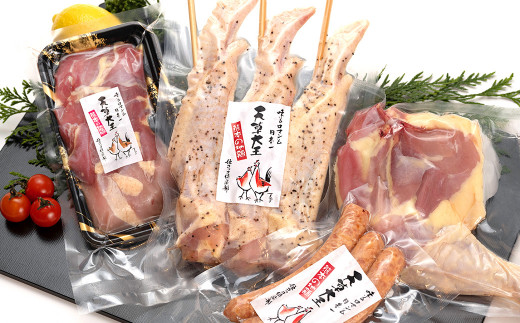 鶏肉 天草大王 【骨付きもも肉 500g 大手羽先 3本 ウインナー 3本 もも・むねミックス150g】鶏 モモ肉 ムネ肉 手羽先 キャンプ BBQ 食べ比べ 詰め合わせ セット 国産 九州産 熊本県産 冷凍 幻の鶏 天草大王 アウトドアセット（骨付きもも肉1本 大手羽先3本 ウインナー3本 もも・むねミックス150g）