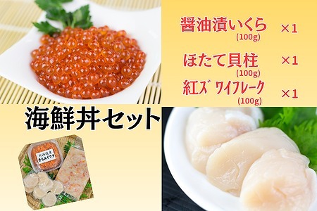 [12月10日決済分まで年内配送]【北海道根室産】海鮮丼セット A-66003