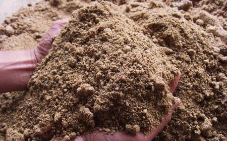 【定期便令和7年産新米予約】関智晴がつくる南魚沼塩沢産コシヒカリ 10kg×全6回 減農薬栽培米【2025年9月中旬より順次発送予定】