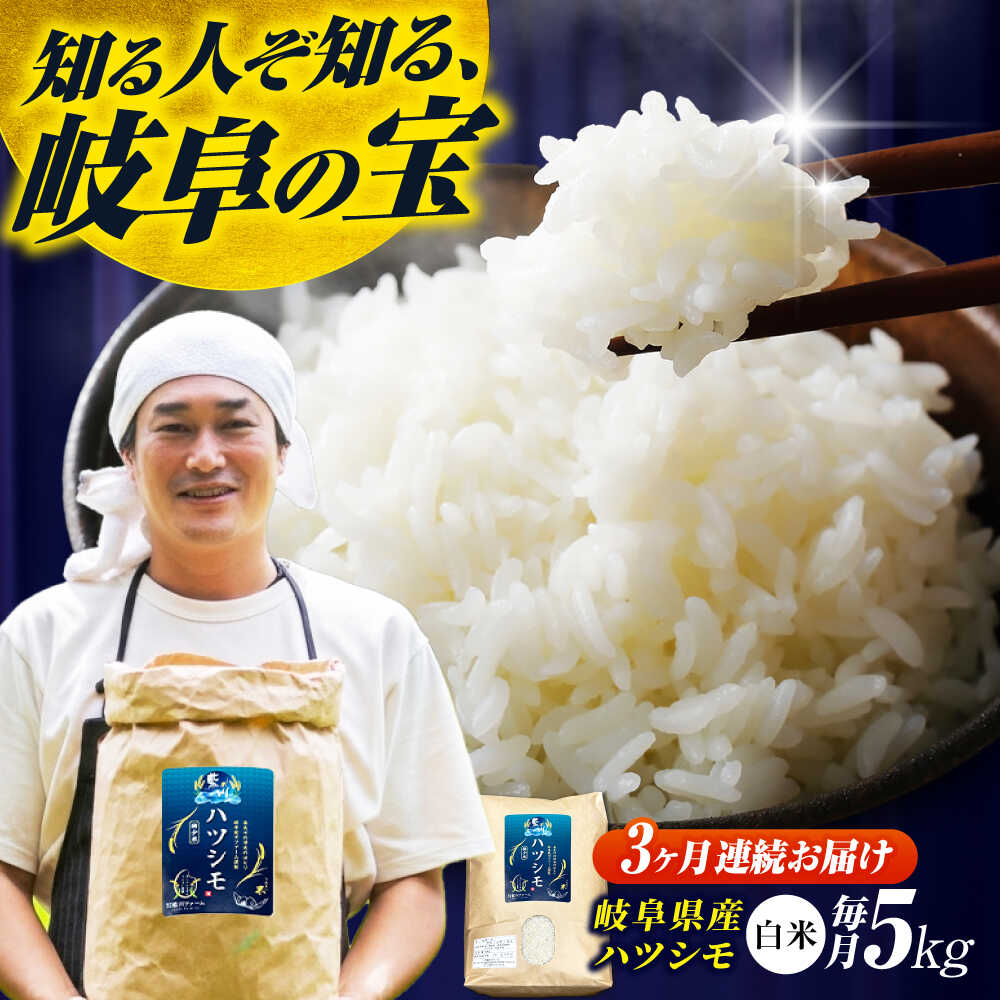 【ふるさと納税】【3回定期便】岐阜県産米ハツシモ「藍の燈」5kg ハツシモ はしつも 白米 精米 米 こめ ごはん コメ 5kg 5キロ 定期 定期便 米定期便 岐阜市 / 藍川ファーム [ANHI003]