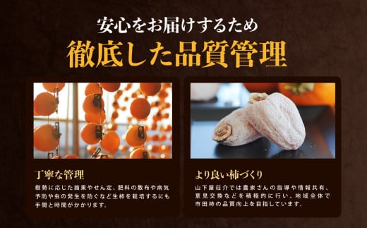 信州の特産品「市田柿」ご家庭用 500g<2026年1月上旬～2月下旬発送>