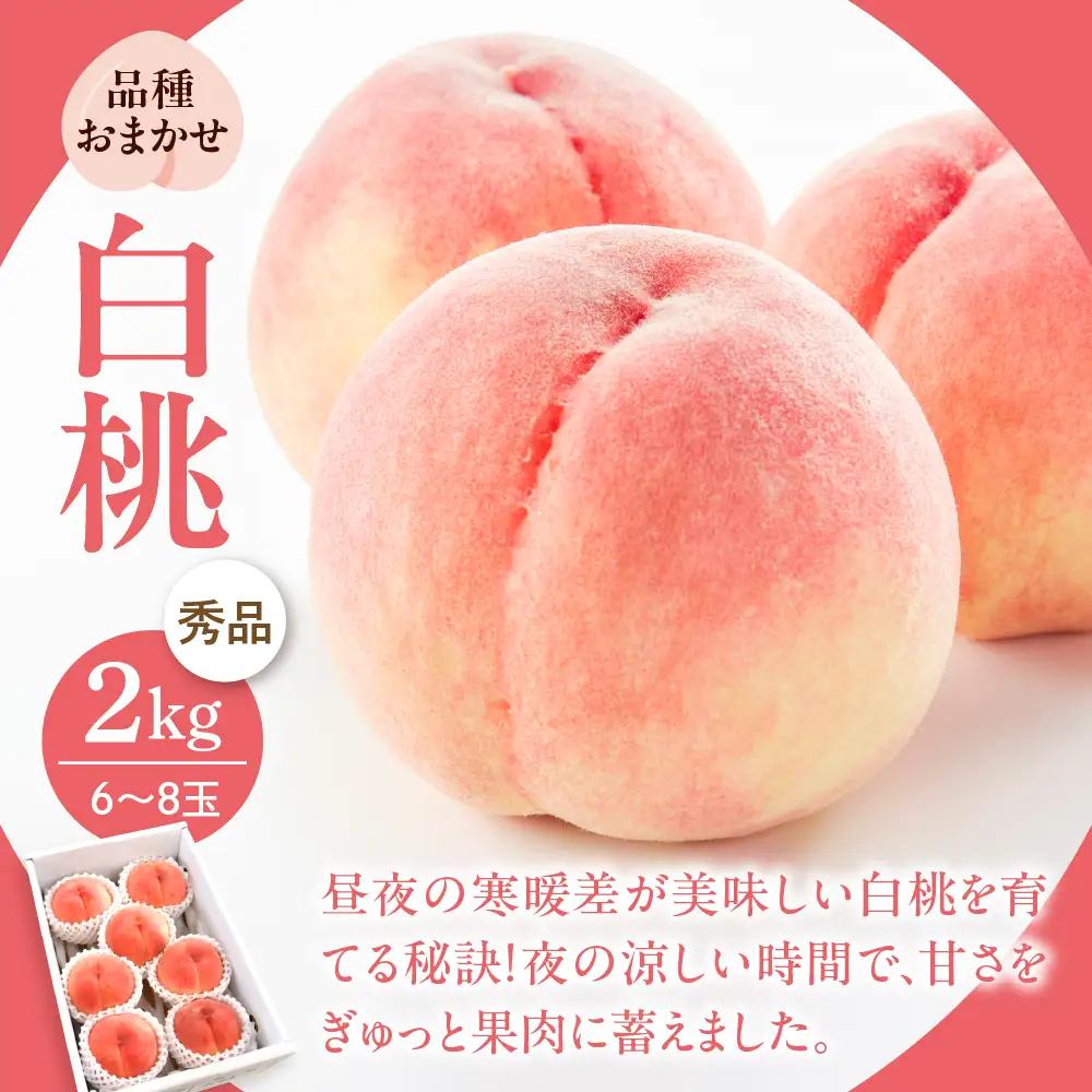 定期便 3回 夏秋満喫 桃 シャインマスカット 洋梨 定期便 フルーツ