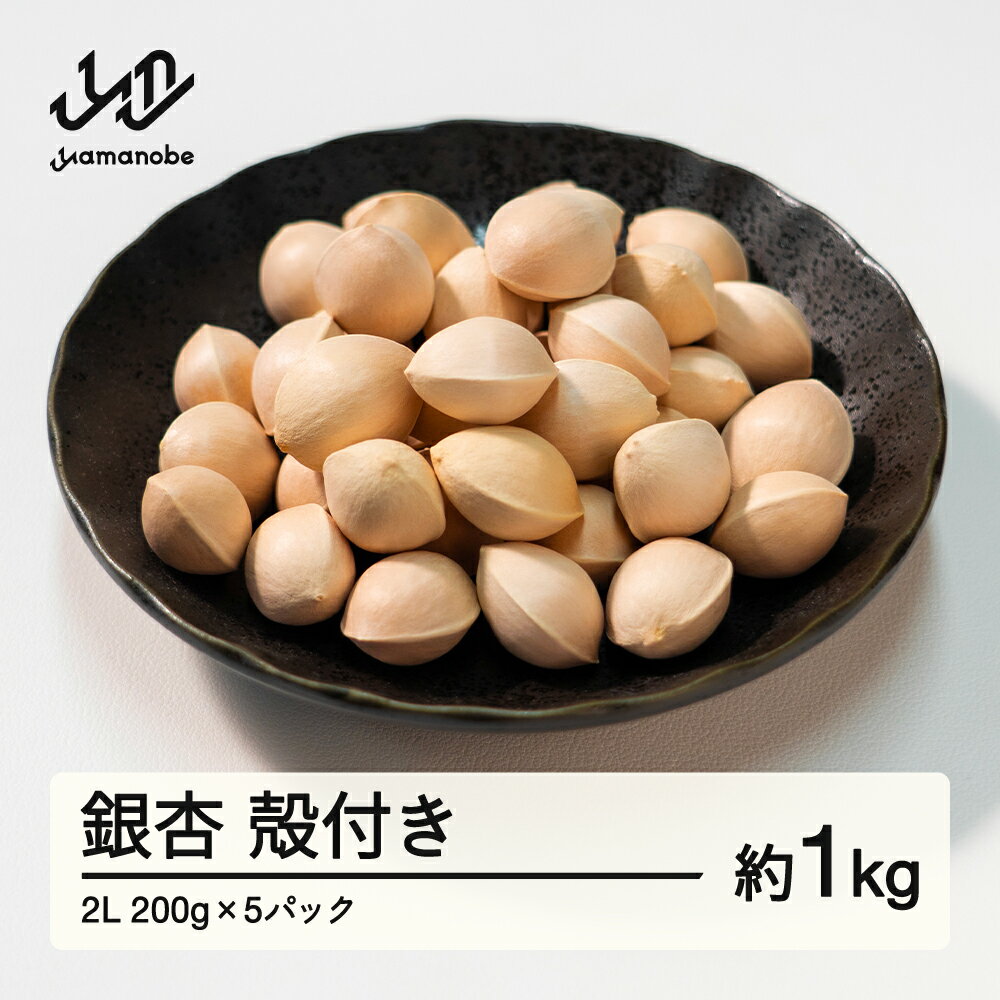【ふるさと納税】≪先行予約≫2025年 山形県産 銀杏 殻付き 2L 約1kg（200g×5パック） 2025年10月上旬から順次発送 ぎんなん おつまみ 真空パック 個包装 小分け 秋 野菜 送料無料 ※沖縄・離島への配送不可 F20A-731