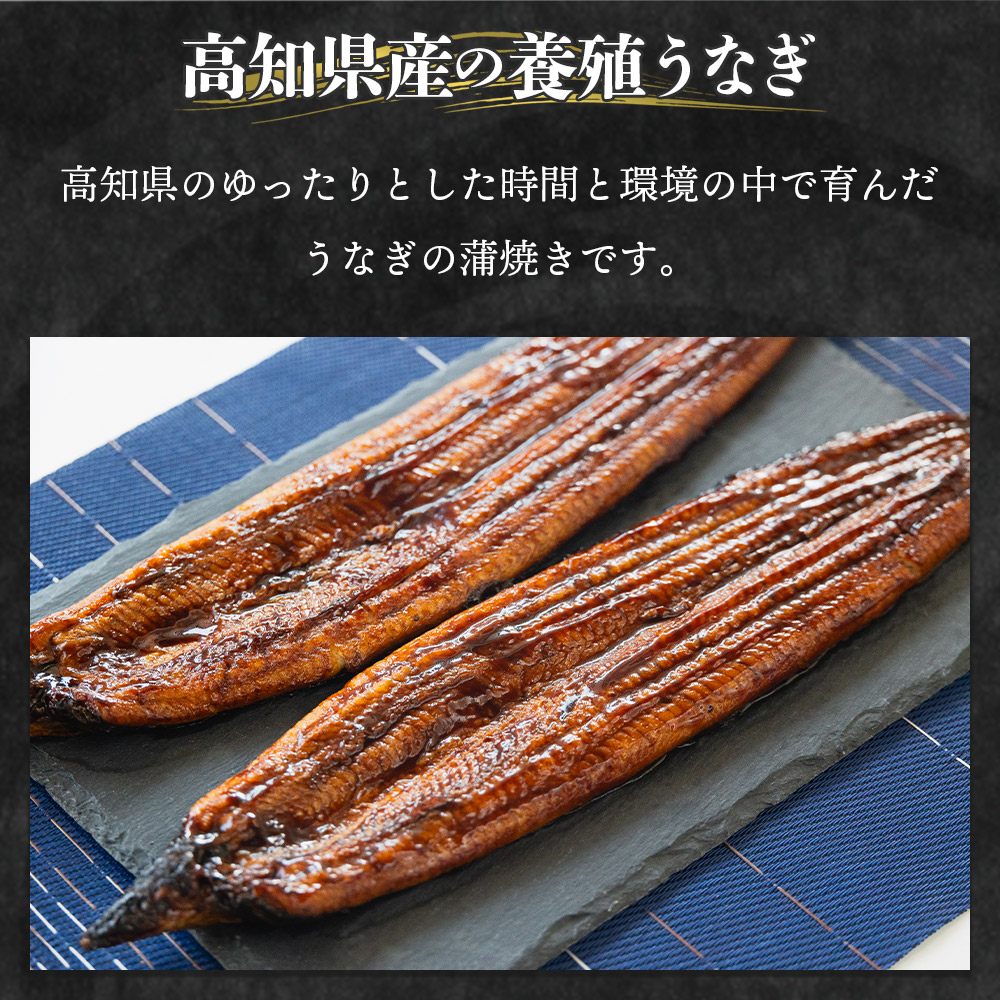 【国産】 うなぎ ２尾 【フジ物産株式会社高知支店（高知県香南市）】 [fb-0139]