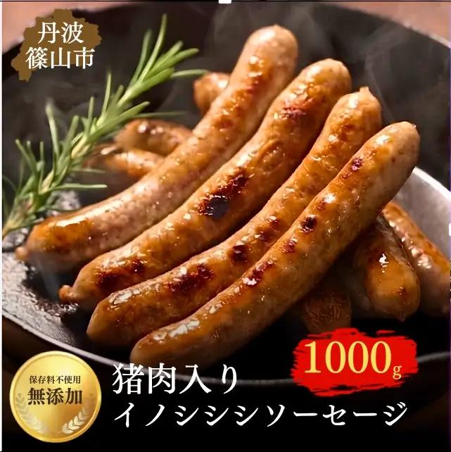 ソーセージ 丹波篠山 イノシシシソーセージ 8本入り×5セット ソーセージ