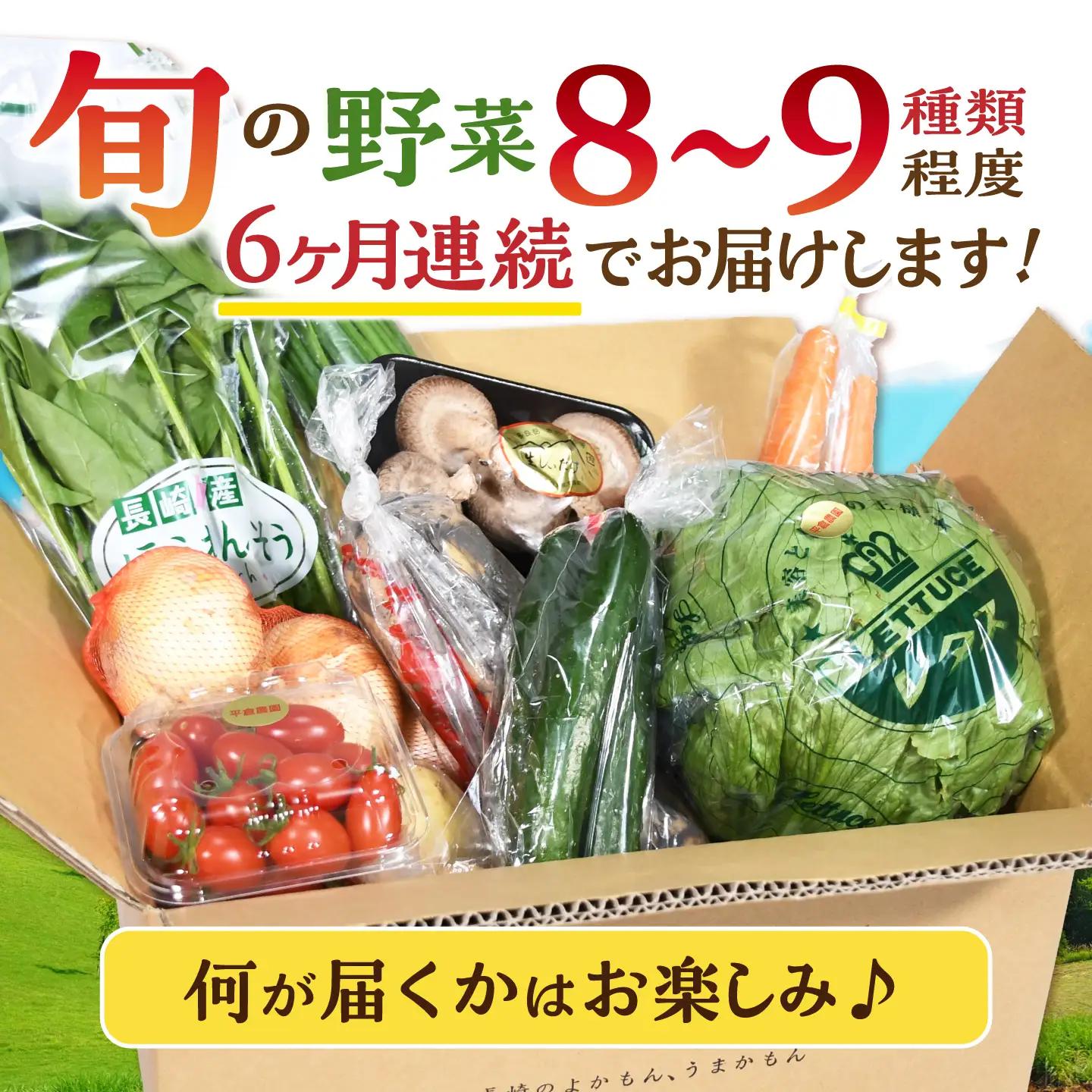野菜 6回定期便 諫早産野菜の詰め合わせ8・9品目程度[AHDI002]