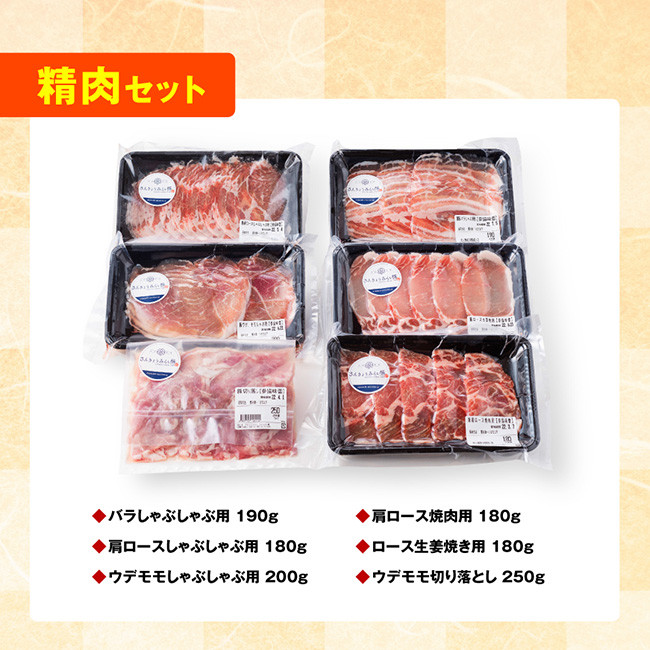 【令和7年4月発送】【いろんな料理にアレンジできちゃう満喫コース】（精肉）みらい豚満喫セット　肉豚豚肉国産豚肉九州産豚肉宮崎県産豚肉バラ肩ロースウデモモ焼肉[E0102br704] 令和7年4月発送分