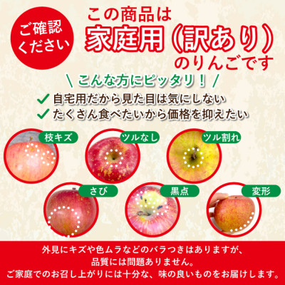 【26年2月～3月発送予定】平均糖度13度以上! 葉とらずサンふじ 約3kg 訳あり 青森りんご【配送不可地域：離島】