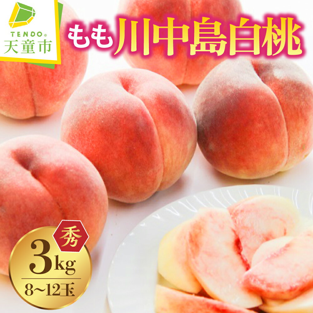 【ふるさと納税】もも ( 川中島白桃 ) 3kg 秀品 8～12玉 令和8年産 先行予約 2026年 桃 白桃 川中島 人気 おすすめ フルーツ 果物 くだもの 山形 お取り寄せ 産地直送 送料無料 【 山形県 天童市 】