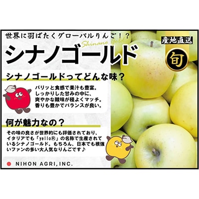 【26年1月出荷予定】平均糖度13度以上! シナノゴールド 約10kg 訳あり【配送不可地域：離島・沖縄県】