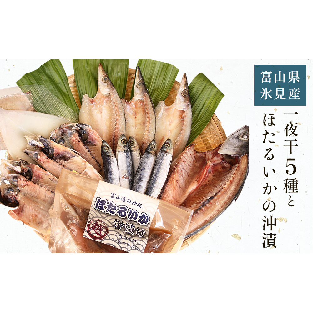 氷見 堀与 一夜干5種とほたるいかの沖漬 富山県 氷見市 干物 詰め合わせ 食べ比べ セット ホタルイカ