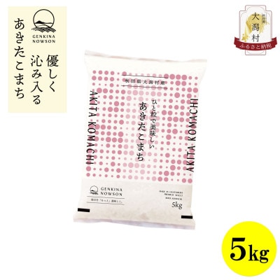 【毎月定期便】秋田県産あきたこまち無洗米5kg(5kg×1)全3回【配送不可地域：離島・沖縄県】