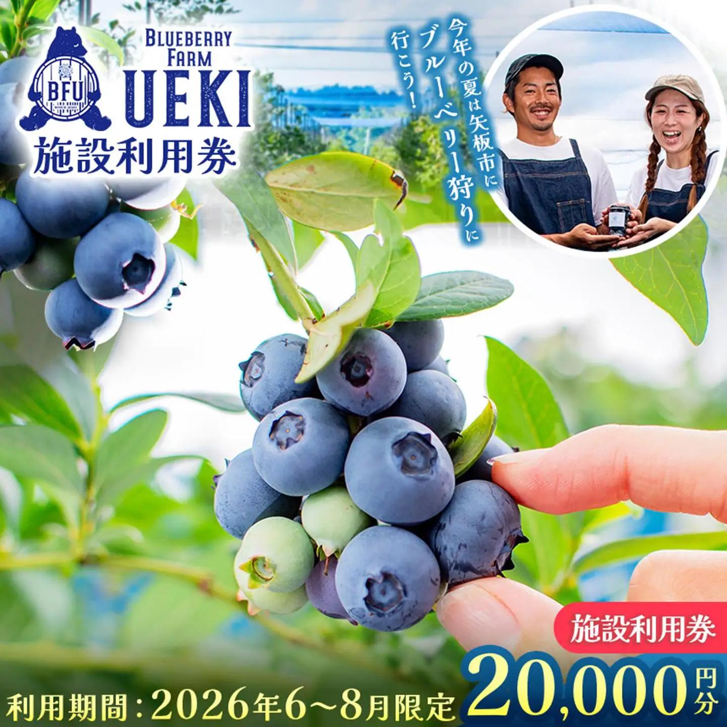 BULE BERRY FARM UEKI 施設利用券 20０００円分