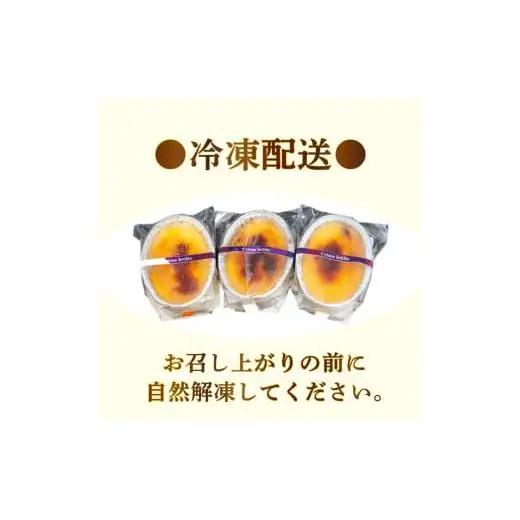 クレームブリュレ9個_スイーツ デザート ブリュレ 高知県 須崎 人気 美味しい セット ギフト プレゼント_【LF020】