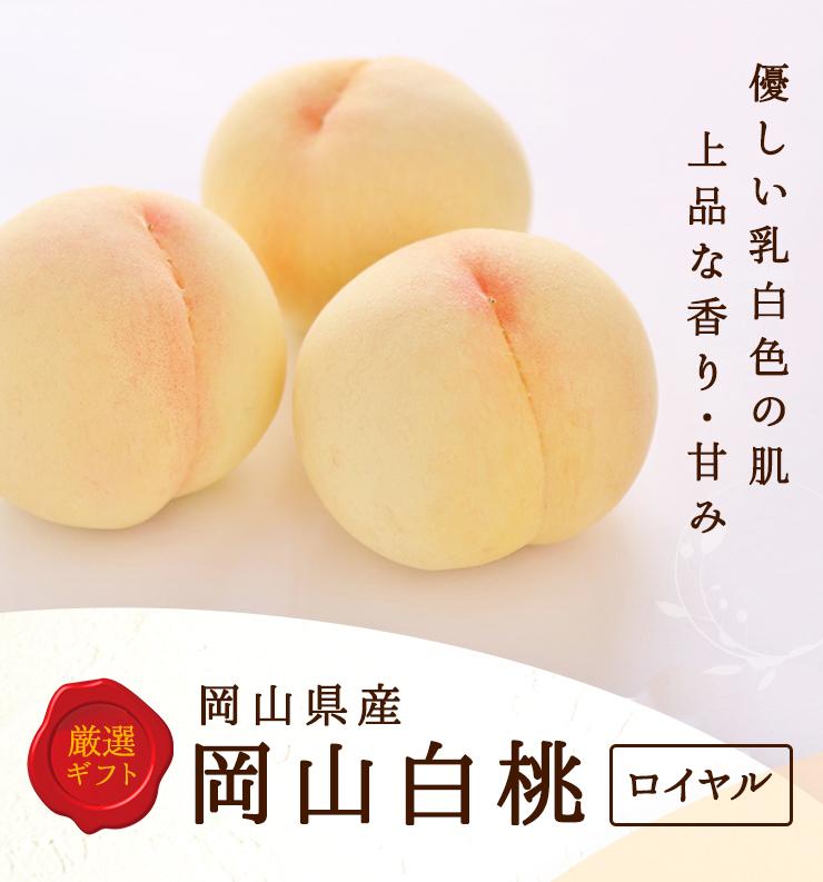 2026年  岡山県産　白桃 8玉（2kg以上） 等級：ロイヤル 化粧箱入り