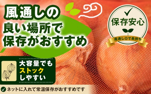 【先行予約】農家直送 低農薬 旭川産 玉ねぎＬサイズ10kg(2026年9月発送開始予定)_06552
