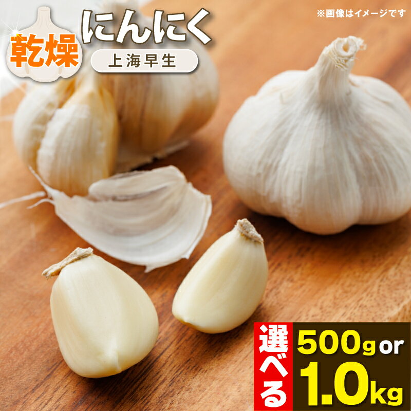 【ふるさと納税】 にんにく 乾燥 国産 500g 1kg 選べる容量 乾燥にんにく 【先行予約】 常備食 便利 ニンニク スープ 料理 風味豊か 保存食 常温保存 手軽 国産にんにく おつまみ トッピング 香り豊か 旨味 アレンジ 国産 パスタ 野菜炒め ギョーザ 徳島県 吉野川市