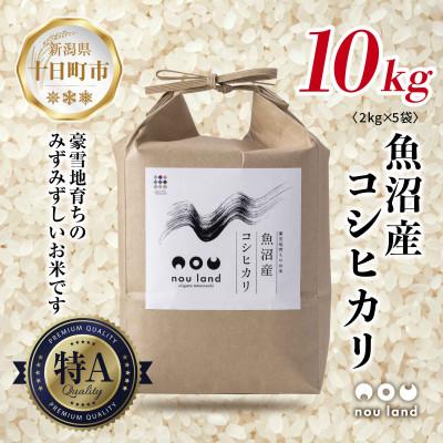ふるさと納税 十日町市 【令和7年産 予約】農家直送 魚沼産 コシヒカリ  2kg ×5袋 新潟県 十日町市 のうランド