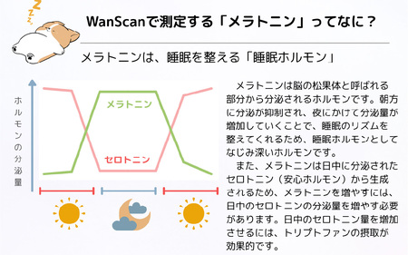 Wan Scan 愛犬用健康検査キット[EV003] / 愛犬 検査 生活習慣 健康検査キット メラトニン ストレス 肥満 リスク 送料無料