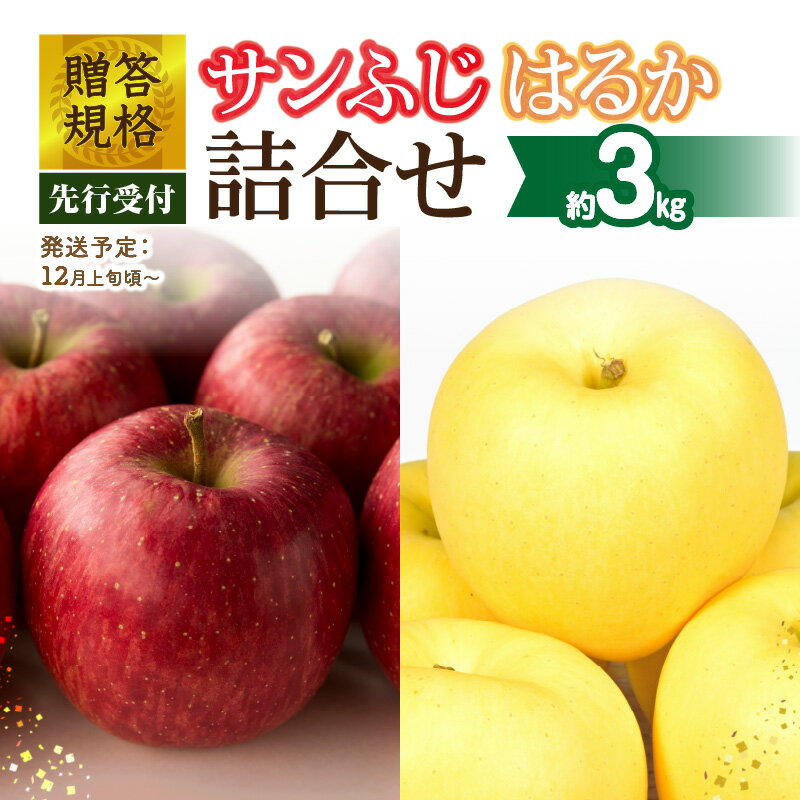 【ふるさと納税】《先行受付》贈答規格「サンふじ」「はるか」約3kg詰合せ（特秀〜秀）【2025年12月上旬〜発送予定】【大江町産・山形りんご・りんご専科 清野】 リンゴ 林檎 フルーツ 果物 産地直送