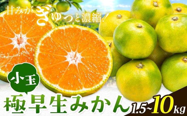 
                  みかん 小玉 極早生みかん 選べる内容量 1.5kg 5kg 6.5kg 10kg お試し 大容量《10月上旬-10月下旬頃出荷》和歌山県 日高町 果物 フルーツ 柑橘類 みかん お取り寄せ
                