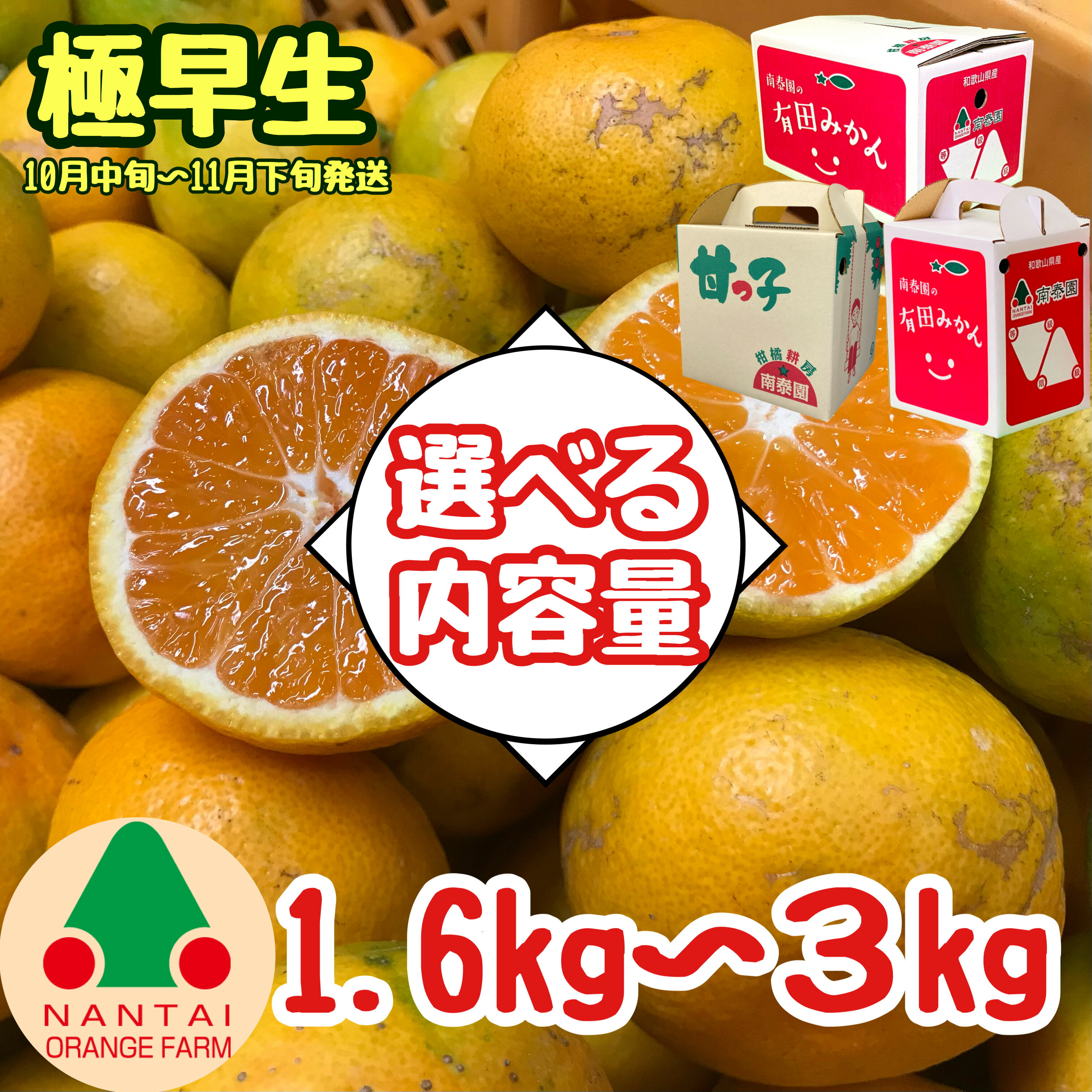 【ふるさと納税】【選べる容量】等級混合 極早生 有田みかん 約1.6 ～ 3kg （L～SS or M～SSサイズ以下）南泰園 和歌山 有田みかん | 有田みかん 農家直送 直送 みかん 大玉 小玉 ミカン mikan 有田 有田川 ありだ 和歌山 送料無料 フルーツ 果物