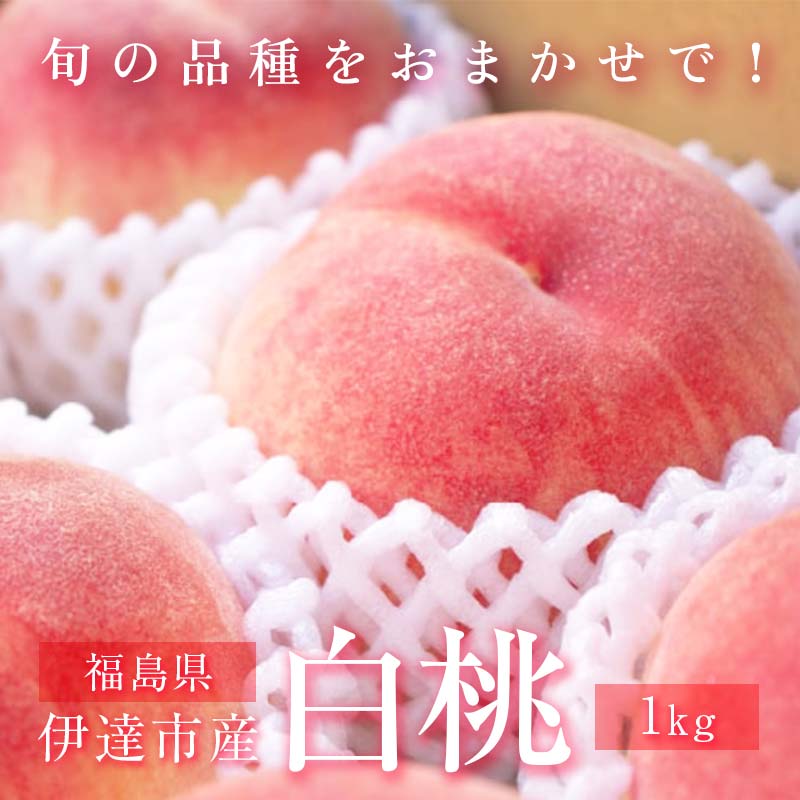 【ふるさと納税】2025年出荷分 先行予約 旬の桃 伊達市産 どれが届くかお楽しみ白桃 1kg（3〜5玉）2025年7月上旬〜2025年9月中旬出荷 伊達の桃 桃 もも モモ 名産品 果物 くだもの フルーツ 国産 産地直送 F20C-946