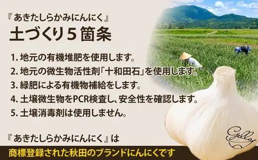 あきたしらかみにんにく 冷凍ペースト 1kg（約200g×5袋）　60P3218【 gella】