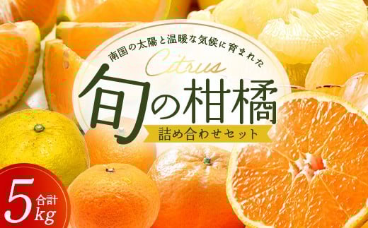 【数量限定】おたのしみ！旬の柑橘詰め合わせセット(４種約５kg) ≪2025年12月下旬より準備が出来次第発送≫ NK-4｜果物 柑橘 大将季 ぽんかん スイートスプリング 津之輝 麗江 サワーポメロ 南大隅町 産地直送 詰め合わせ 5kg 国産 数量限定