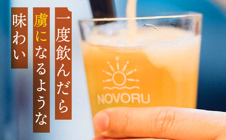 おまかせMIX24缶セット ビール アルコール 飲料 大麦 大麦麦芽 ホップ ローカル ご当地 贈り物 ギフト お歳暮 お中元 缶ビール 缶 さけ 酒 お酒 宮崎ビール ブルワリー ノボルブルーイング