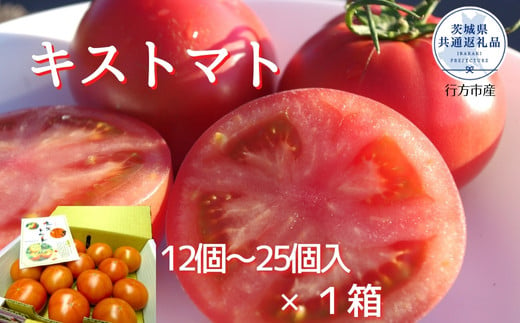 【2025年2月以降発送】キストマト約1kg　12個～25個入（茨城県共通返礼品／行方市産）