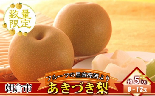
                  フルーツの里の直売所より あきづき梨 5kg ナシ 果物 先行予約 
                