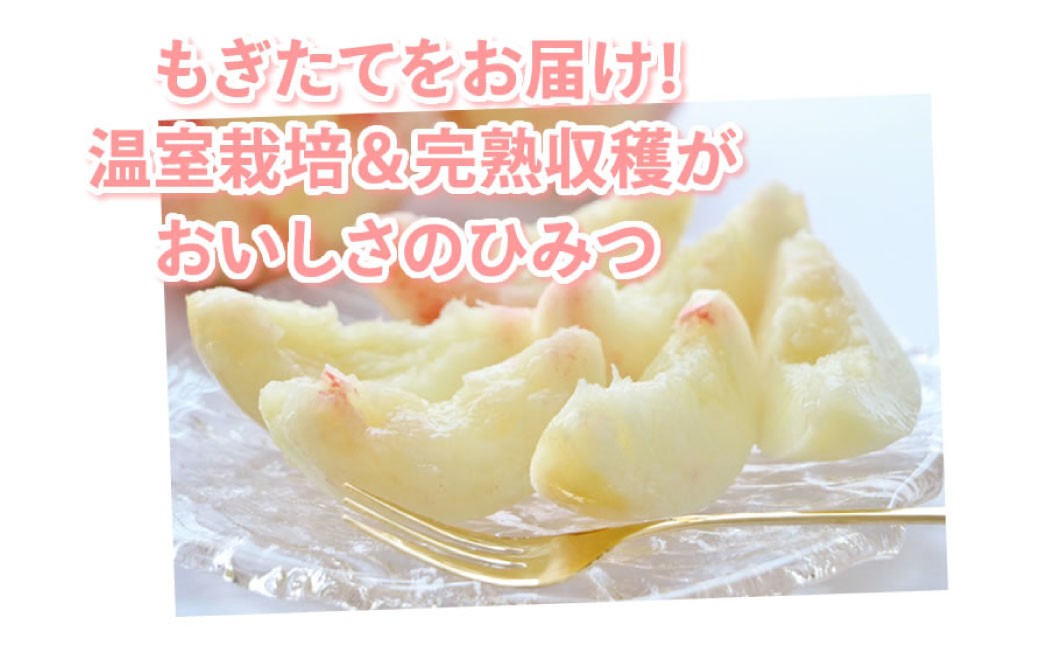 桃 はなよめ 秀品 約900g 6-10玉入り
