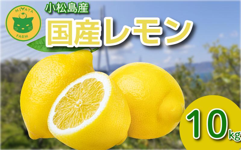 【2026年12月発送】レモン 10kg 秀品  国産 レモン 檸檬 れもん ワックス不使用 防腐剤不使用 柑橘 果汁 フルーツ 果実 徳島 小松島市