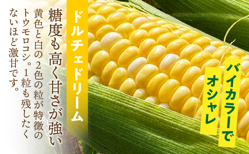 【人気の2品種を食べ比べ】とうもろこし2種各3本×3セット・H112