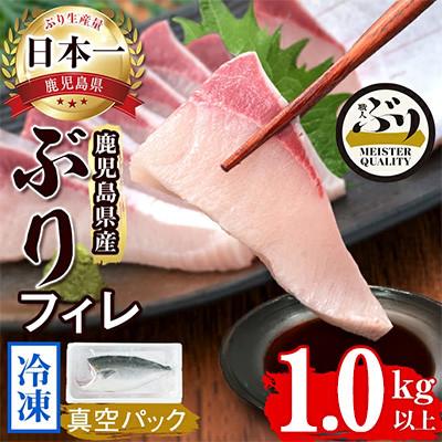 ふるさと納税 垂水市 【鹿児島産】冷凍ぶり フィレ(半身1枚) 約1kg【アクアブルー】