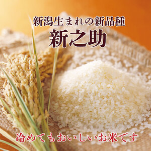 令和6年産 新之助 5kg 【 新潟 新潟県 米 5kg 新之助 新米 おいしい ご飯 ごはん 白米 精米 新発田産 】