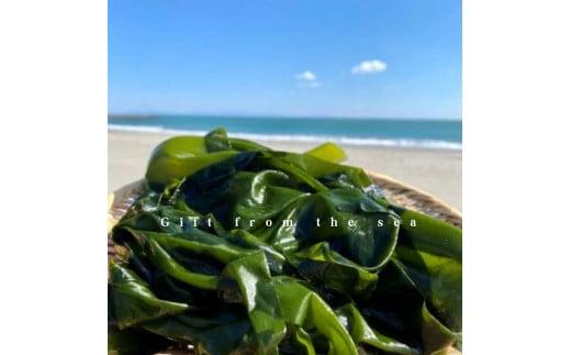 わかめ 駿河湾 束 わかめ 400g 200g×2袋 海藻 海産物 海鮮 魚介 ワカメ 若布 味噌汁 スープ 鍋 サラダ 刺身 酢のもの 家庭用 ギフト プレゼント 贈答  八木康 静岡県 牧之原市