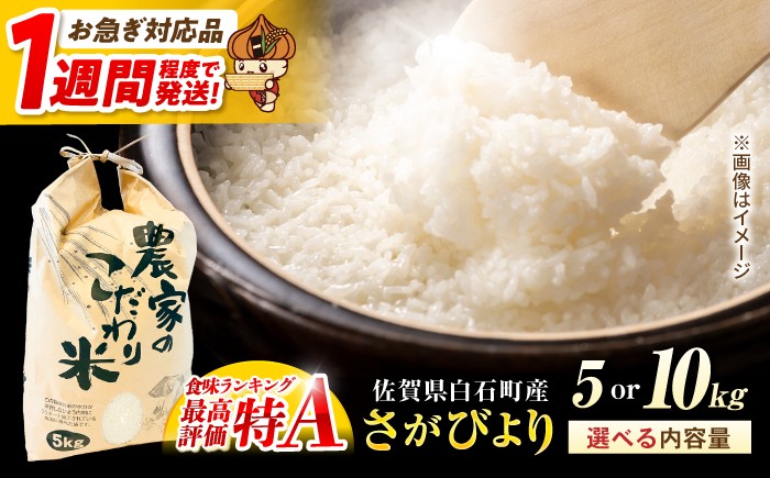 
                  【スピード発送】【選べる容量】令和7年産 さがびより（白米） 5kg～10kg【かわさきいちご】 佐賀県 白石  令和8年発送 [IBG018]
                