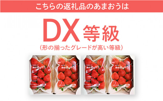  【2027年2月～2027年3月順次発送】あまおう  約250g×4パック DX