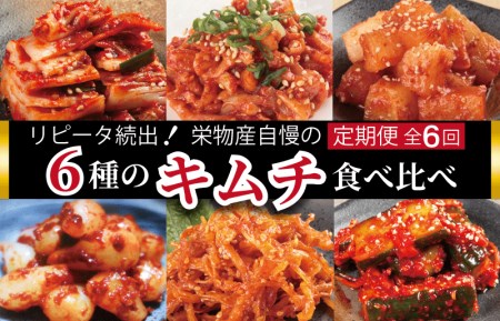 【リピータ続出！】6種 キムチ食べ比べ 全6回【毎月配送コース 高評価 人気 惣菜 きむち 漬物 韓国グルメ おつまみ 家計応援 お楽しみ 福袋】