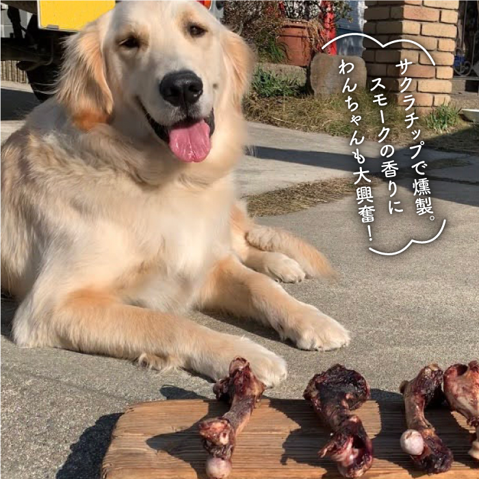 大型犬向け☆天然いのししのスモーク骨ガム3本【わんこin食堂】 [FCG052]