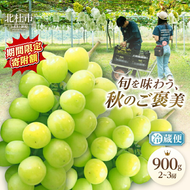 【ふるさと納税】 【期間限定フェスタ】 シャインマスカット 900g 2〜3房 山梨 数量限定 期間限定 フルーツ 果物 くだもの マスカット 2026年 発送 旬 高級 先行予約 ぶどう ブドウ 葡萄 国産 新鮮 ジューシー 山梨県産 北杜市 人気 お取り寄せ 送料無料 10000円 以内