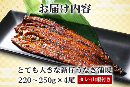 国産 とても大きな 新仔うなぎ蒲焼 4尾 計880～1kg (220～250g×4尾) 肉厚ジューシー ふっくら柔らか ブランド鰻使用 秘伝のタレ・山椒付き 湯煎で簡単調理 うな丼 うな重 贈答用 ギ